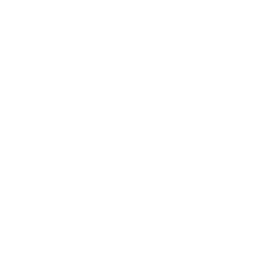 reliable payments logo in simple white